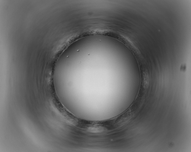 X0000113210451200909241428