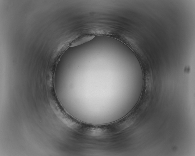 X0000113210453200909241428