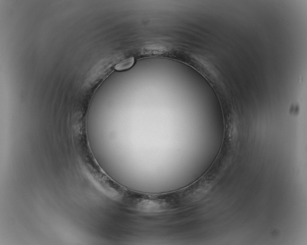 X0000113210455200909241428