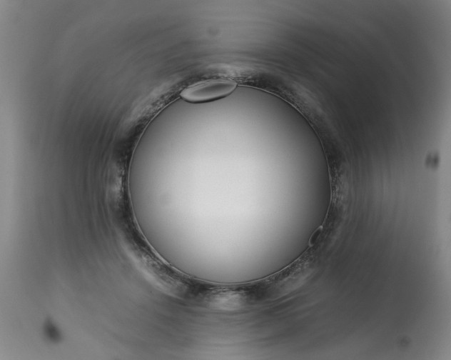 X0000113210456200909241428