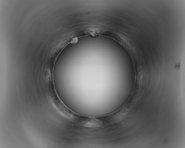 X0000113210459200909241428