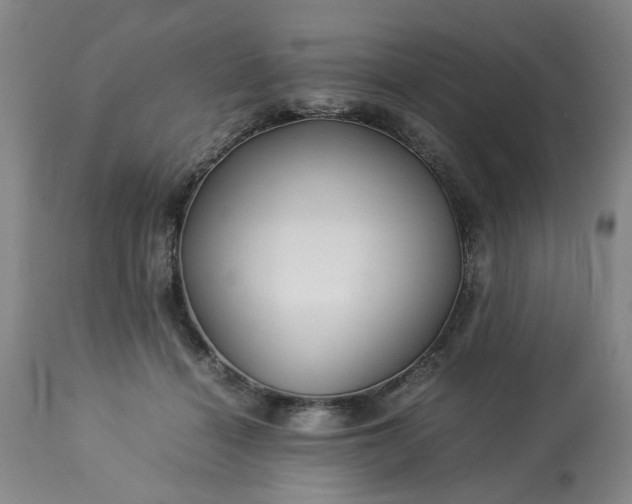 X0000113210460200909241428