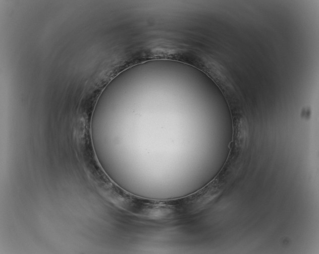 X0000113210463200909241428