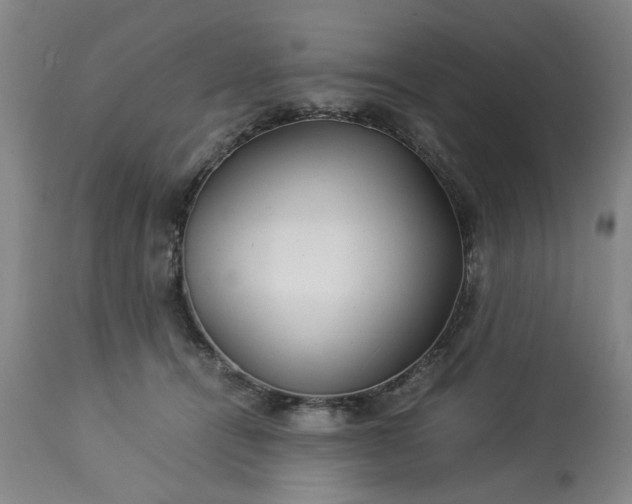 X0000113210464200909241428