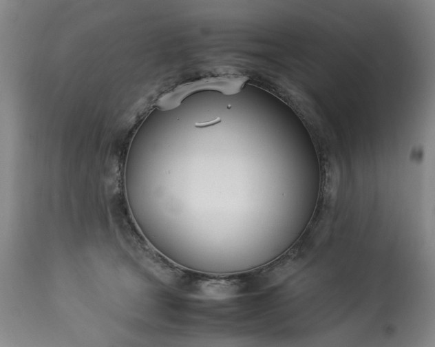 X0000113210465200909241428