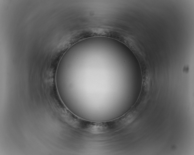 X0000113210466200909241428