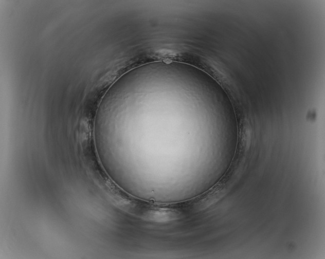 X0000113210467200909241428