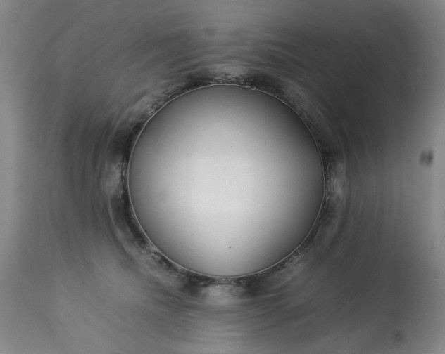 X0000113210468200909241428