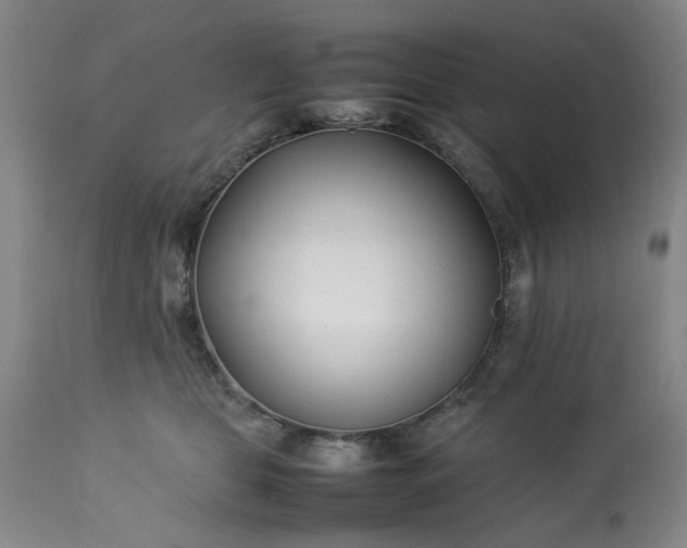 X0000113210469200909241428