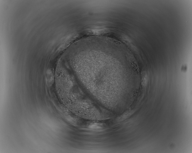 X0000113210471200909241428