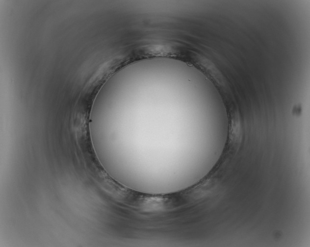 X0000113210473200909241428