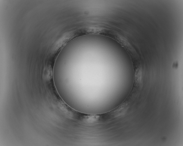 X0000113210474200909241428