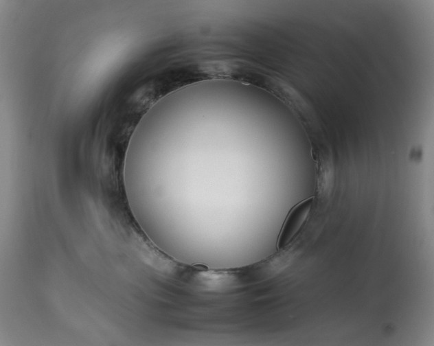 X0000113210477200909241428