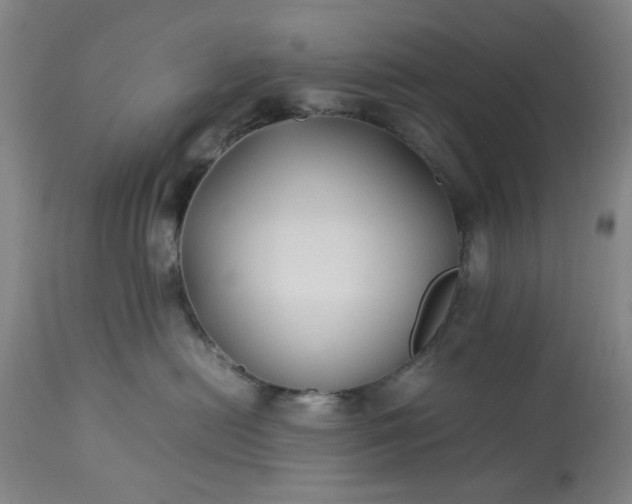 X0000113210478200909241428