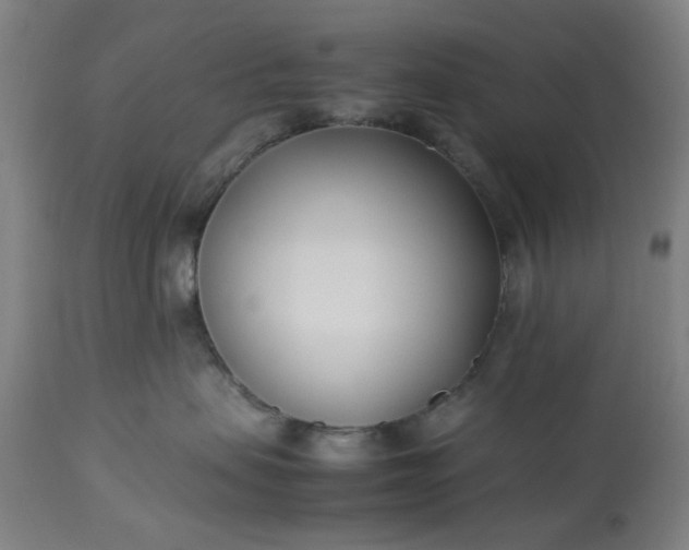 X0000113210479200909241428