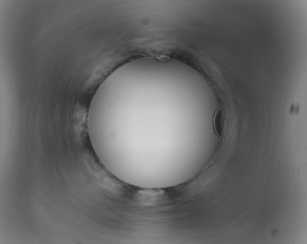 X0000113210480200909241428