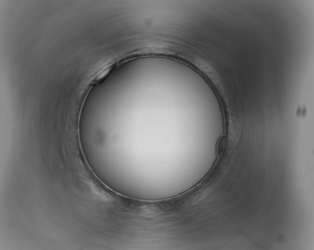 X0000113210481200909241427