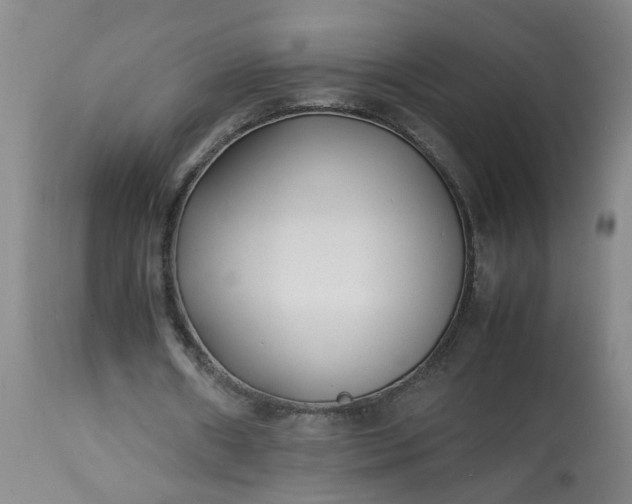 X0000113210482200909241427