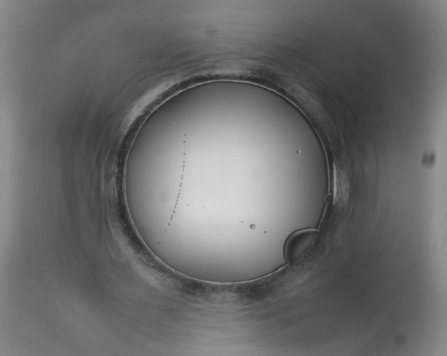 X0000113210483200909241427