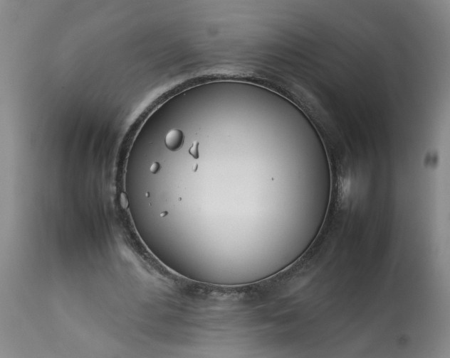 X0000113210484200909241427