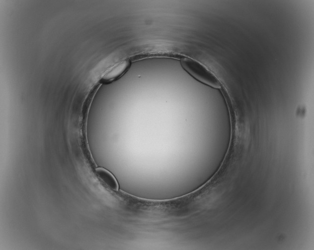 X0000113210485200909241427