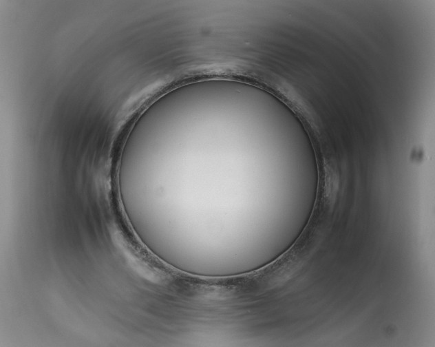 X0000113210486200909241427