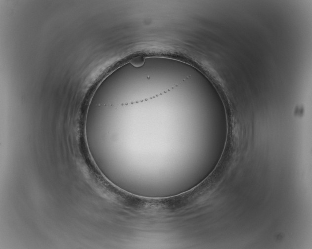 X0000113210487200909241427