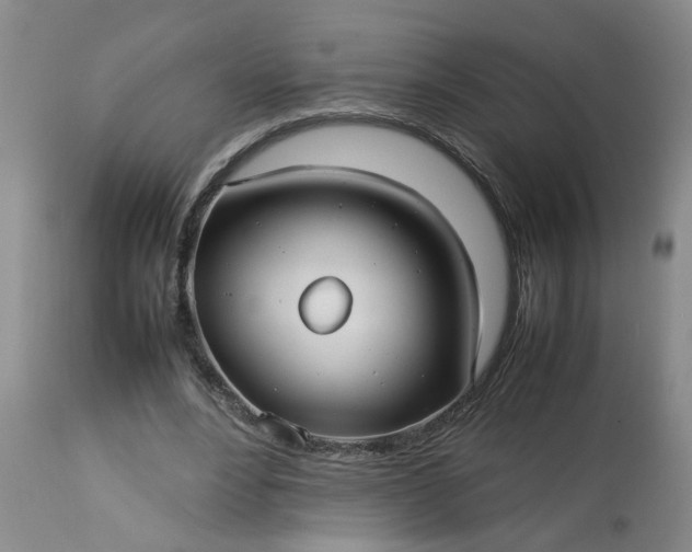 X0000113210488200909241427