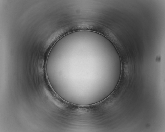 X0000113210490200909241427