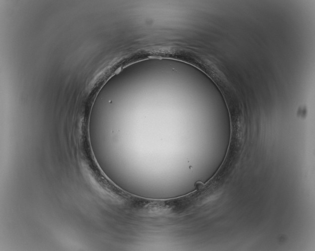 X0000113210491200909241427