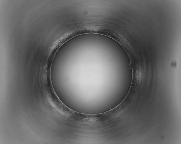 X0000113210492200909241427