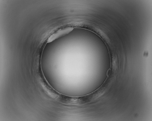 X0000113210493200909241427