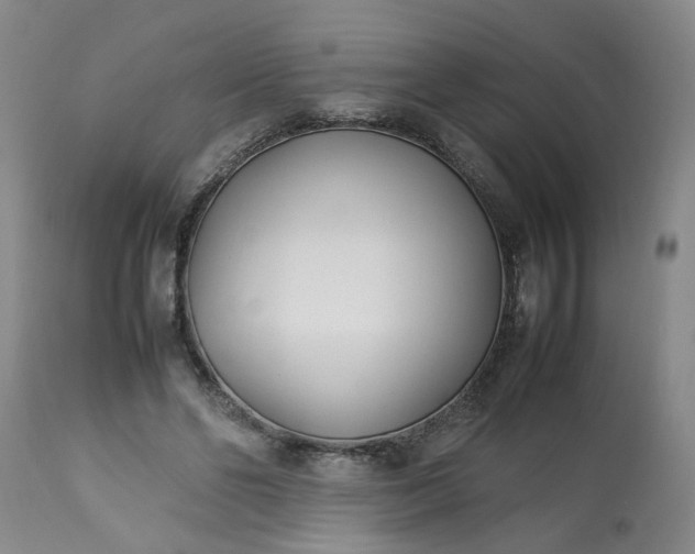 X0000113210494200909241427