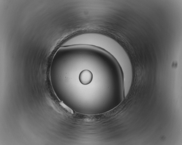 X0000113210496200909241427