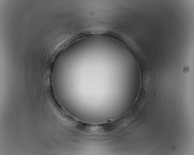 X0000113210501200909241427