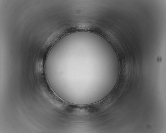 X0000113210502200909241427