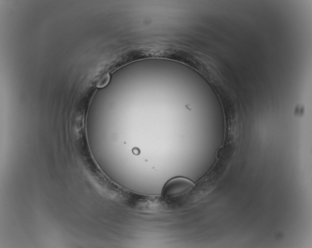 X0000113210503200909241427