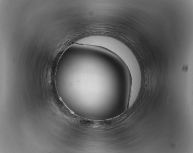 X0000113210504200909241427