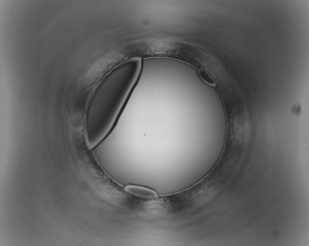 X0000113210505200909241427