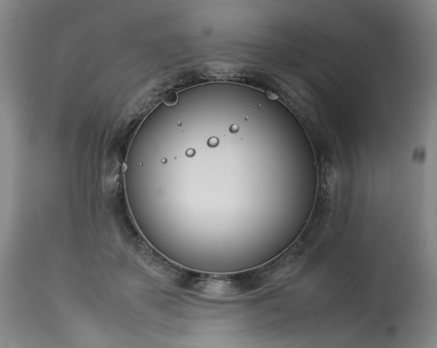 X0000113210507200909241427