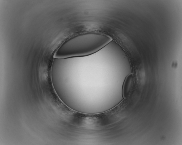 X0000113210508200909241427