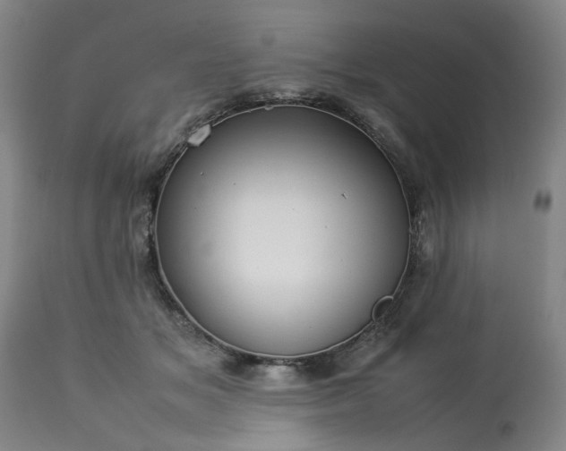 X0000113210509200909241427