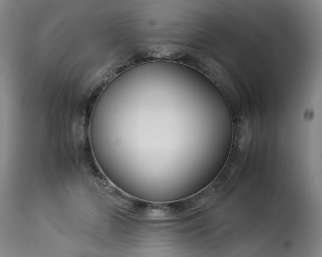 X0000113210510200909241427