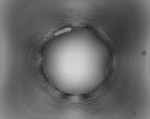 X0000113210513200909241427