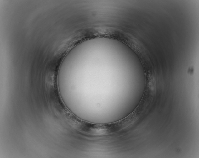 X0000113210514200909241427