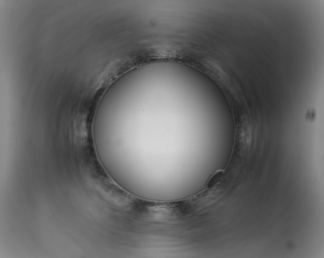 X0000113210516200909241427