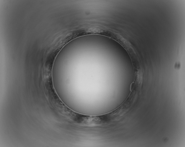 X0000113210517200909241427