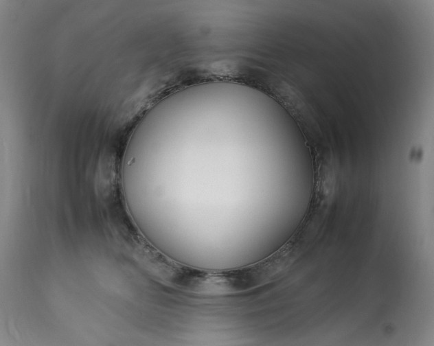 X0000113210518200909241427