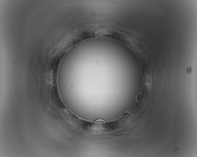 X0000113210519200909241427