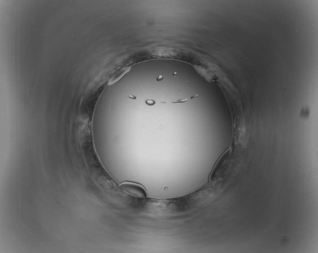 X0000113210521200909241427